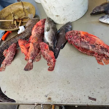 Casa Del Grecale Dom wakacyjny